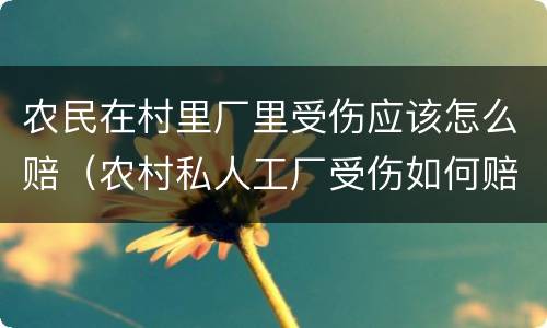 农民在村里厂里受伤应该怎么赔（农村私人工厂受伤如何赔偿）