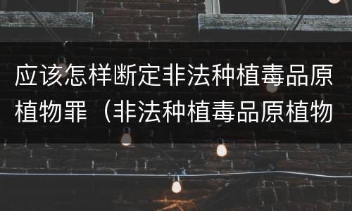 应该怎样断定非法种植毒品原植物罪（非法种植毒品原植物罪情节严重的三种情形）