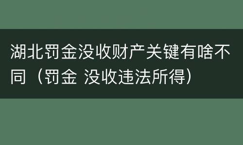 湖北罚金没收财产关键有啥不同（罚金 没收违法所得）