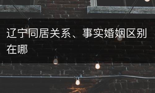 辽宁同居关系、事实婚姻区别在哪