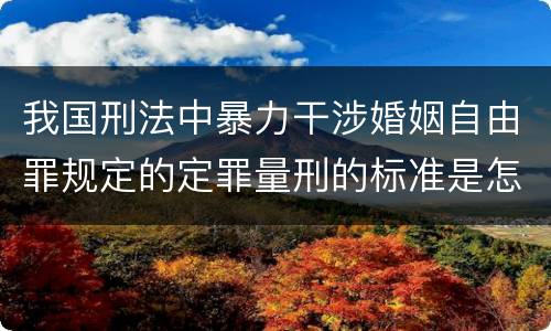 我国刑法中暴力干涉婚姻自由罪规定的定罪量刑的标准是怎样的