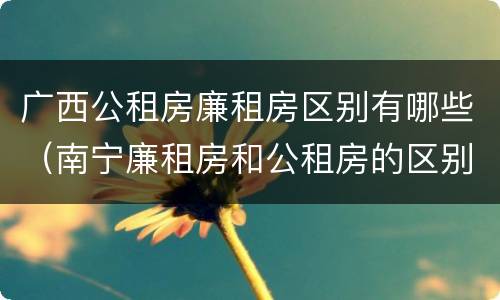 广西公租房廉租房区别有哪些（南宁廉租房和公租房的区别）