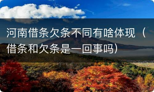 河南借条欠条不同有啥体现（借条和欠条是一回事吗）