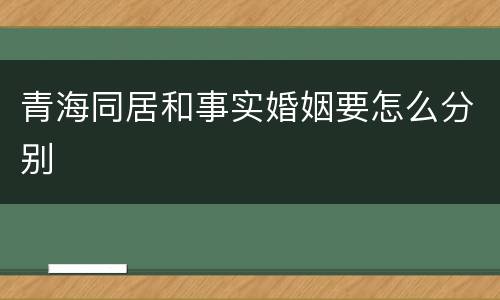青海同居和事实婚姻要怎么分别