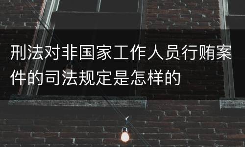 刑法对非国家工作人员行贿案件的司法规定是怎样的