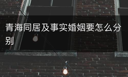 青海同居及事实婚姻要怎么分别