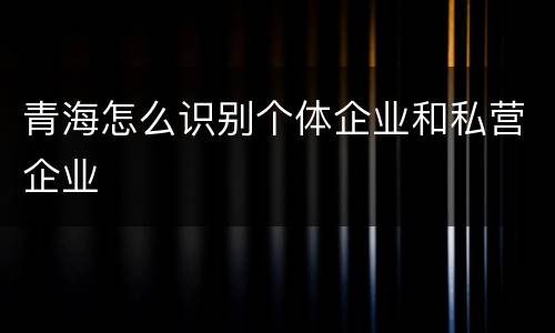 青海怎么识别个体企业和私营企业