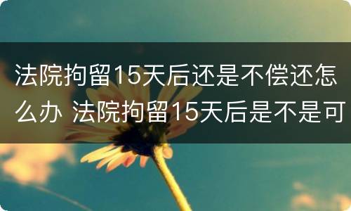 法院拘留15天后还是不偿还怎么办 法院拘留15天后是不是可以继续拘留