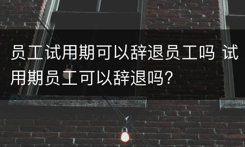 员工试用期可以辞退员工吗 试用期员工可以辞退吗?