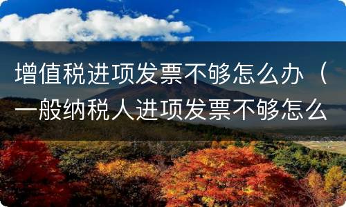增值税进项发票不够怎么办（一般纳税人进项发票不够怎么办）
