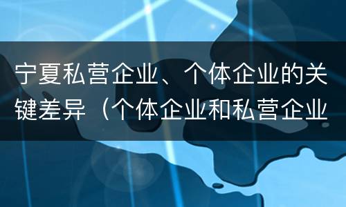 宁夏私营企业、个体企业的关键差异（个体企业和私营企业）