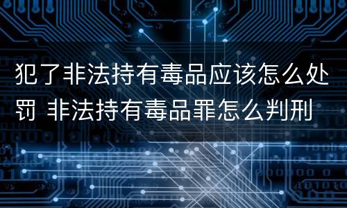 犯了非法持有毒品应该怎么处罚 非法持有毒品罪怎么判刑