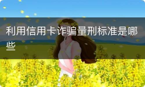 利用信用卡诈骗量刑标准是哪些