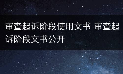 审查起诉阶段使用文书 审查起诉阶段文书公开