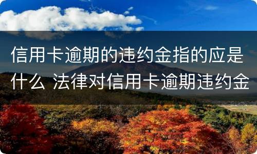 信用卡逾期的违约金指的应是什么 法律对信用卡逾期违约金的规定
