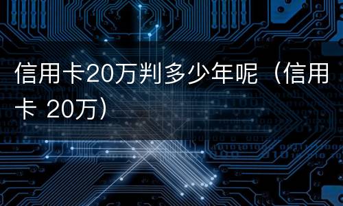 信用卡20万判多少年呢（信用卡 20万）