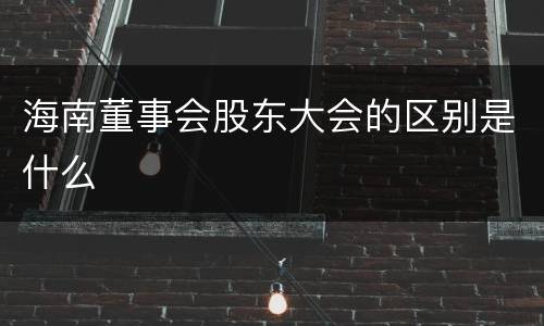 海南董事会股东大会的区别是什么