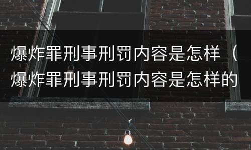 爆炸罪刑事刑罚内容是怎样（爆炸罪刑事刑罚内容是怎样的）