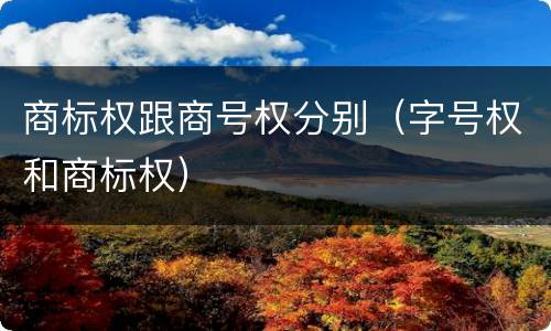 商标权跟商号权分别（字号权和商标权）
