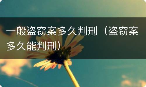 一般盗窃案多久判刑（盗窃案多久能判刑）