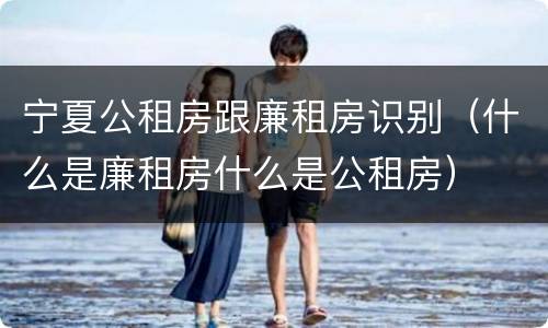 宁夏公租房跟廉租房识别（什么是廉租房什么是公租房）