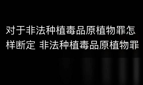 对于非法种植毒品原植物罪怎样断定 非法种植毒品原植物罪情节严重的三种情形是什么