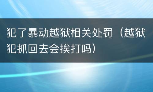 犯了暴动越狱相关处罚（越狱犯抓回去会挨打吗）
