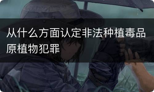 从什么方面认定非法种植毒品原植物犯罪
