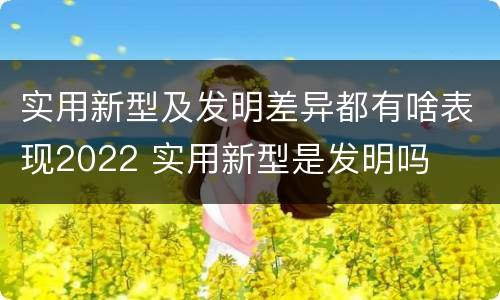 实用新型及发明差异都有啥表现2022 实用新型是发明吗