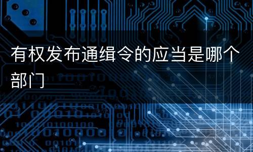 有权发布通缉令的应当是哪个部门