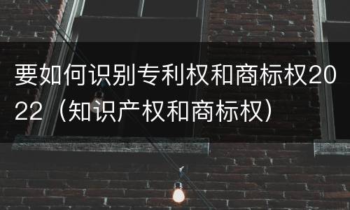 要如何识别专利权和商标权2022（知识产权和商标权）