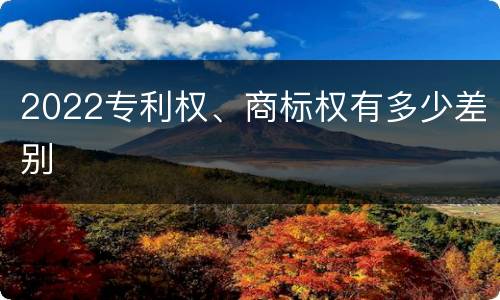 2022专利权、商标权有多少差别