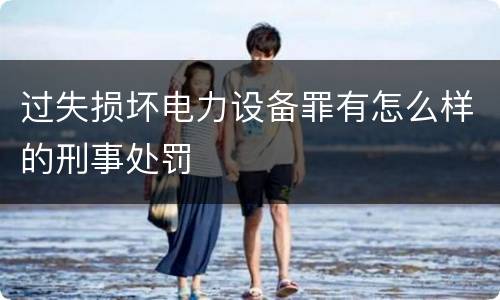 过失损坏电力设备罪有怎么样的刑事处罚