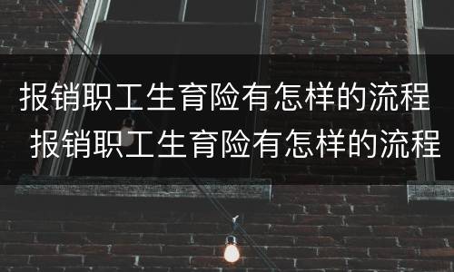 报销职工生育险有怎样的流程 报销职工生育险有怎样的流程呢