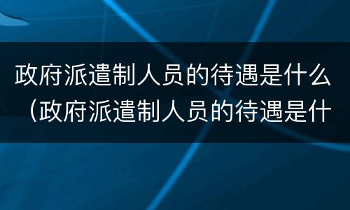 政府派遣制人员的待遇是什么（政府派遣制人员的待遇是什么意思）