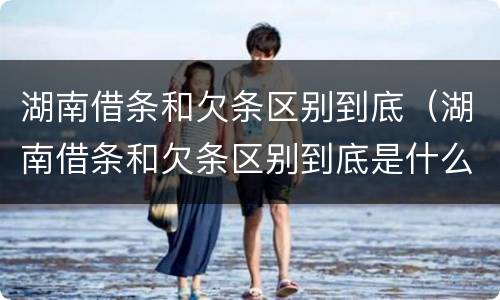 湖南借条和欠条区别到底（湖南借条和欠条区别到底是什么）