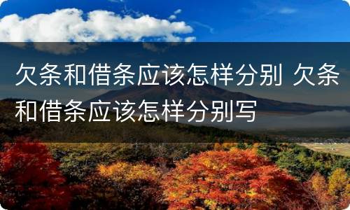 欠条和借条应该怎样分别 欠条和借条应该怎样分别写