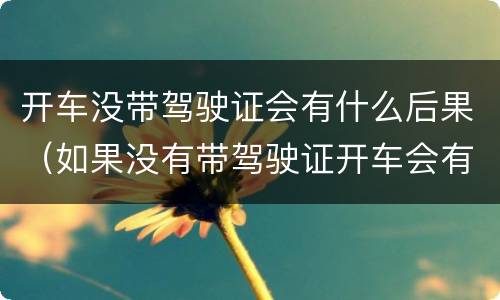 开车没带驾驶证会有什么后果（如果没有带驾驶证开车会有什么样的后果）