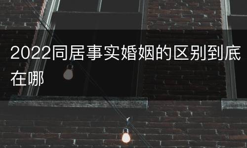 2022同居事实婚姻的区别到底在哪