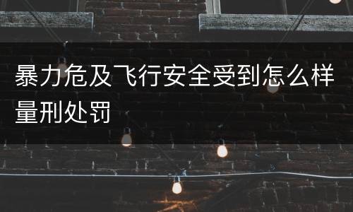 暴力危及飞行安全受到怎么样量刑处罚