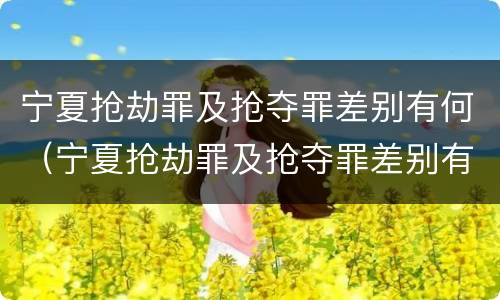 宁夏抢劫罪及抢夺罪差别有何（宁夏抢劫罪及抢夺罪差别有何认定）