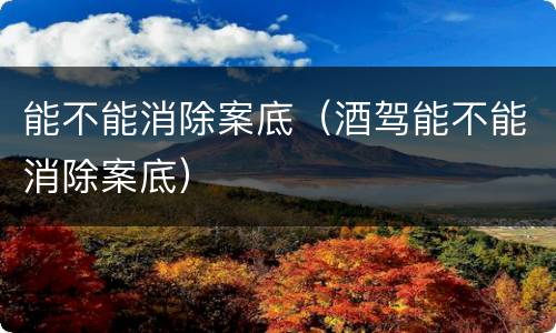 能不能消除案底（酒驾能不能消除案底）