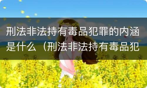 刑法非法持有毒品犯罪的内涵是什么（刑法非法持有毒品犯罪的内涵是什么呢）