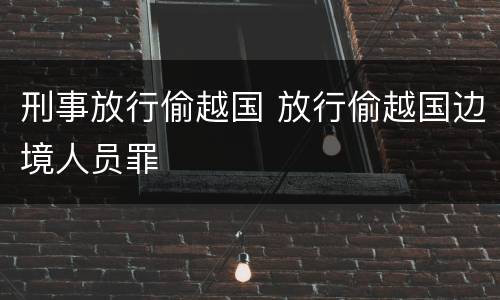 刑事放行偷越国 放行偷越国边境人员罪