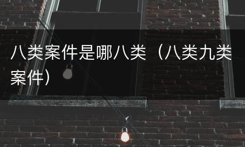 八类案件是哪八类（八类九类案件）