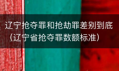 辽宁抢夺罪和抢劫罪差别到底（辽宁省抢夺罪数额标准）