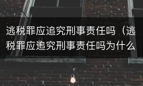 逃税罪应追究刑事责任吗（逃税罪应追究刑事责任吗为什么）