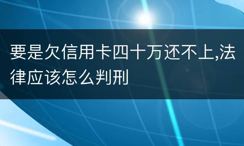 要是欠信用卡四十万还不上,法律应该怎么判刑