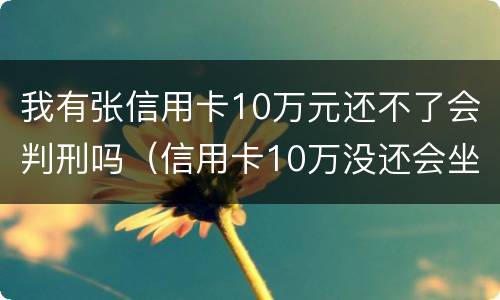 我有张信用卡10万元还不了会判刑吗（信用卡10万没还会坐牢吗）