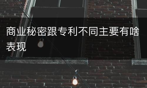 商业秘密跟专利不同主要有啥表现